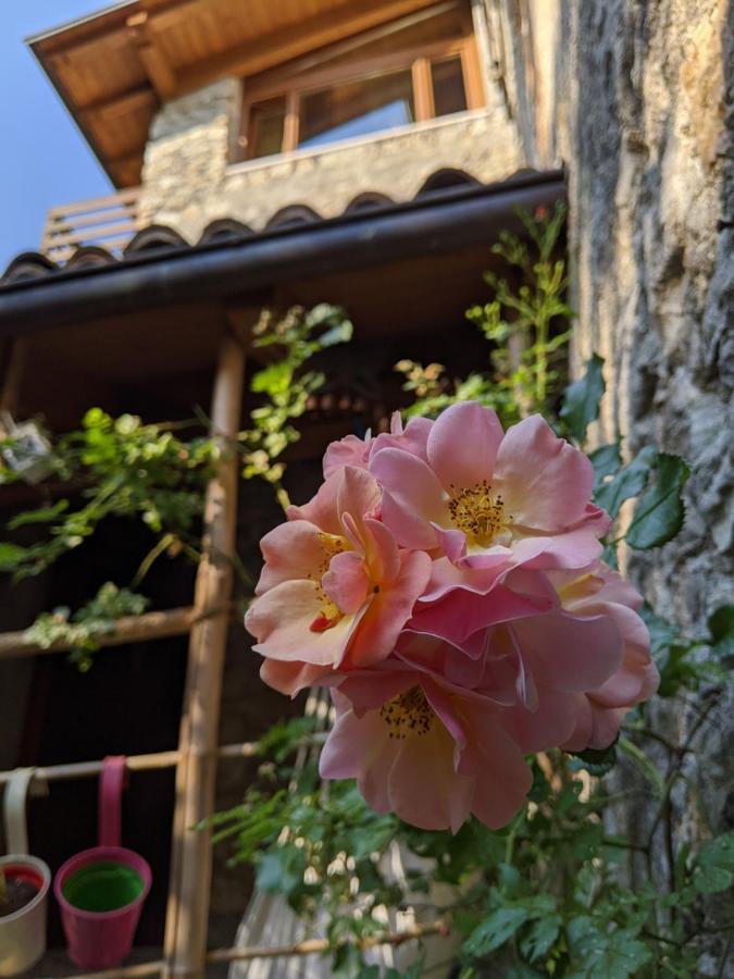 Ca' Vitalina Tenno Exterior foto